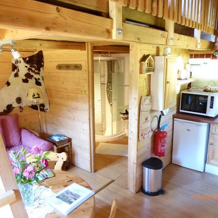 Chalet Fleur Des Neiges Saint-Jean-d'Aulps Ngoại thất bức ảnh