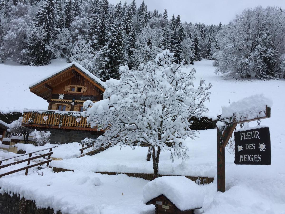 Chalet Fleur Des Neiges Saint-Jean-d'Aulps Ngoại thất bức ảnh