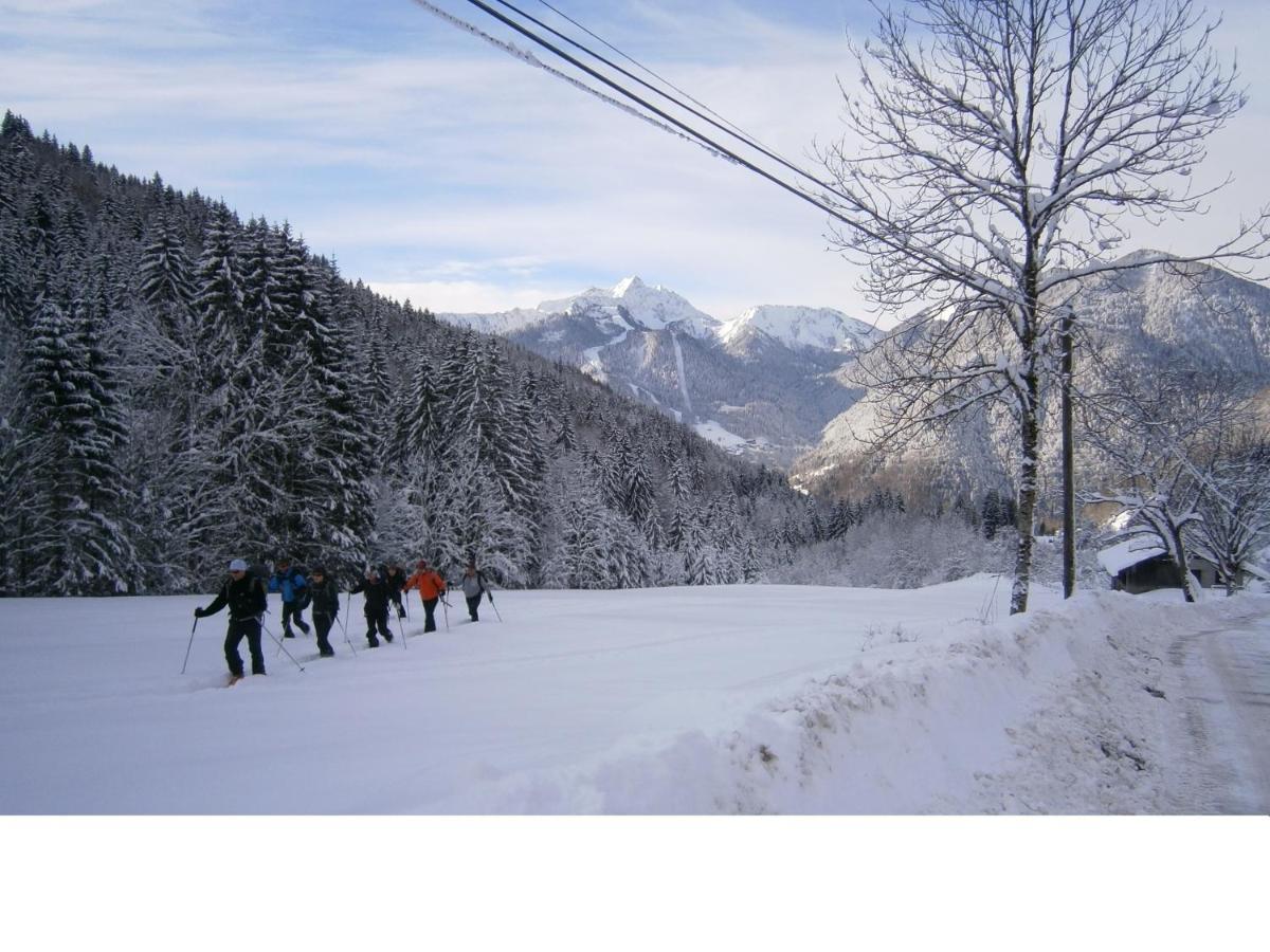 Chalet Fleur Des Neiges Saint-Jean-d'Aulps Ngoại thất bức ảnh